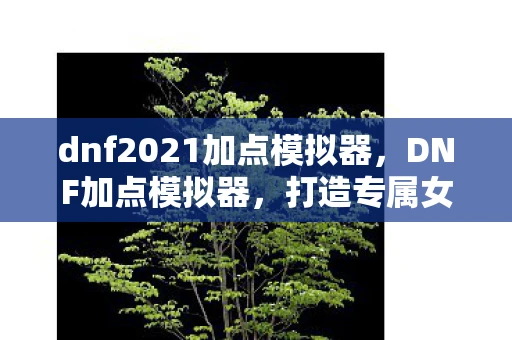 dnf2021加点模拟器，DNF加点模拟器，打造专属女鬼剑角色