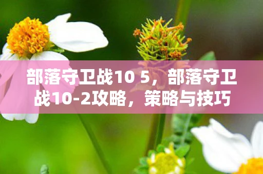 部落守卫战10 5，部落守卫战10-2攻略，策略与技巧的全面解析