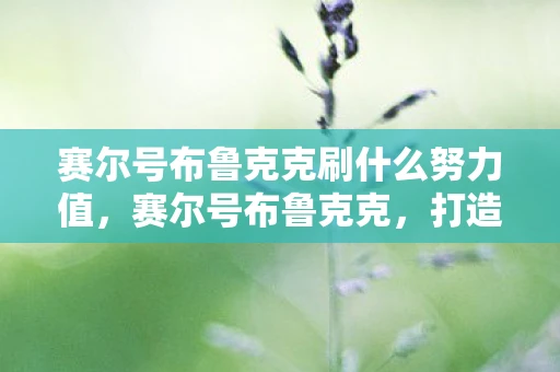 赛尔号布鲁克克刷什么努力值，赛尔号布鲁克克，打造最强战斗力的刷法指南