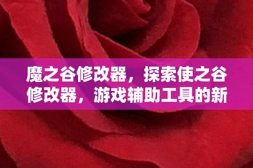 魔之谷修改器，探索使之谷修改器，游戏辅助工具的新边疆