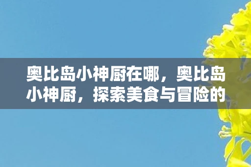 奥比岛小神厨在哪，奥比岛小神厨，探索美食与冒险的奇妙之旅