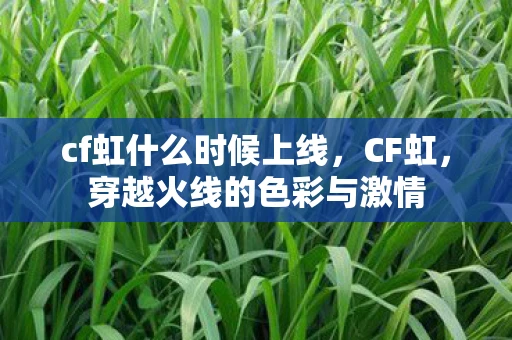 cf虹什么时候上线，CF虹，穿越火线的色彩与激情