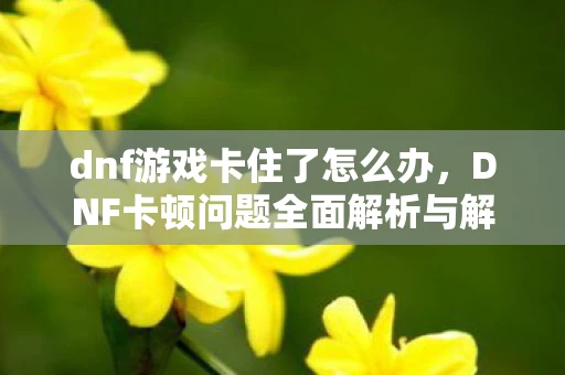 dnf游戏卡住了怎么办，DNF卡顿问题全面解析与解决指南