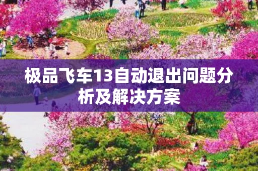 极品飞车13自动退出问题分析及解决方案图片