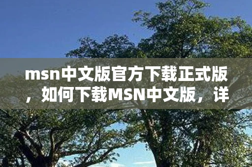 msn中文版官方下载正式版，如何下载MSN中文版，详细步骤与注意事项