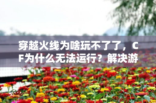 穿越火线为啥玩不了了，CF为什么无法运行？解决游戏无法启动的常见问题