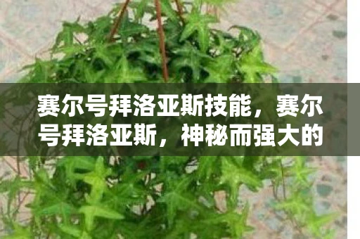 赛尔号拜洛亚斯技能，赛尔号拜洛亚斯，神秘而强大的存在