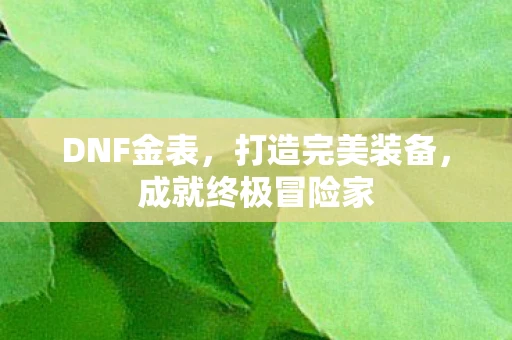 DNF金表，打造完美装备，成就终极冒险家