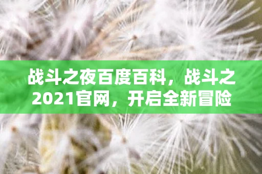 战斗之夜百度百科，战斗之2021官网，开启全新冒险的门户