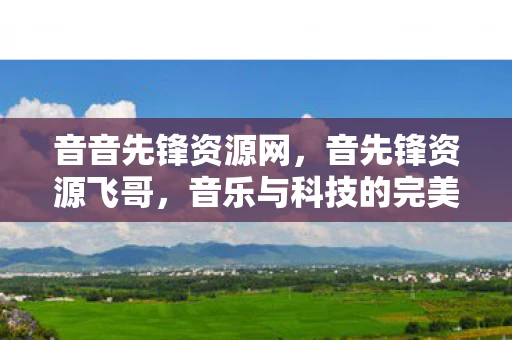 音音先锋资源网，音先锋资源飞哥，音乐与科技的完美融合