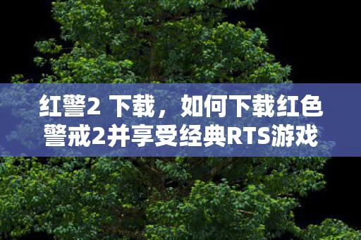 红警2 下载，如何下载红色警戒2并享受经典RTS游戏的魅力