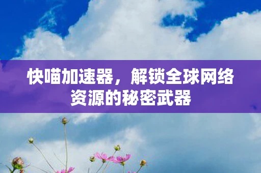 快喵加速器，解锁全球网络资源的秘密武器