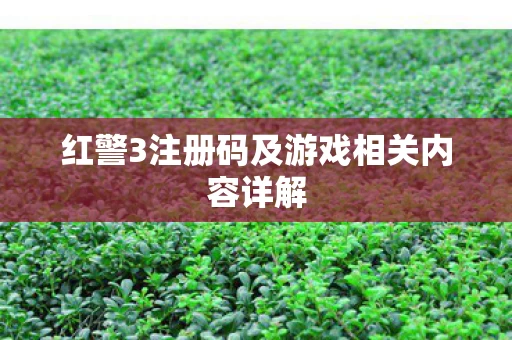红警3注册码及游戏相关内容详解图片