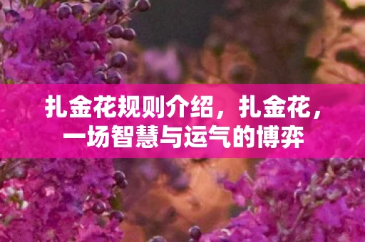 扎金花规则介绍，扎金花，一场智慧与运气的博弈