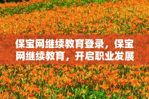 保宝网继续教育登录，保宝网继续教育，开启职业发展的新篇章