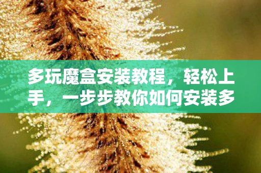 一步步教你如何安装多玩魔盒图片