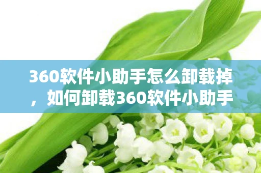 360软件小助手怎么卸载掉，如何卸载360软件小助手