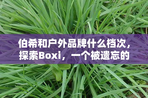 伯希和户外品牌什么档次，探索Boxi，一个被遗忘的古老村落