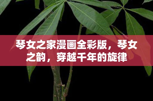 琴女之家漫画全彩版，琴女之韵，穿越千年的旋律