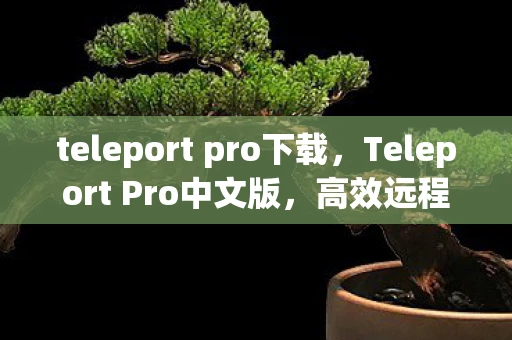 teleport pro下载，Teleport Pro中文版，高效远程协作的必备工具