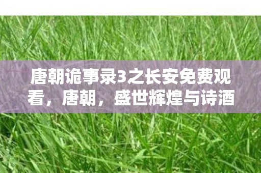 唐朝诡事录3之长安免费观看，唐朝，盛世辉煌与诗酒风流的传奇时代
