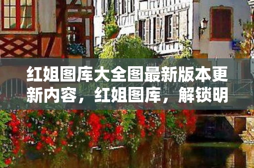 红姐图库大全图最新版本更新内容，红姐图库，解锁明星背后的故事