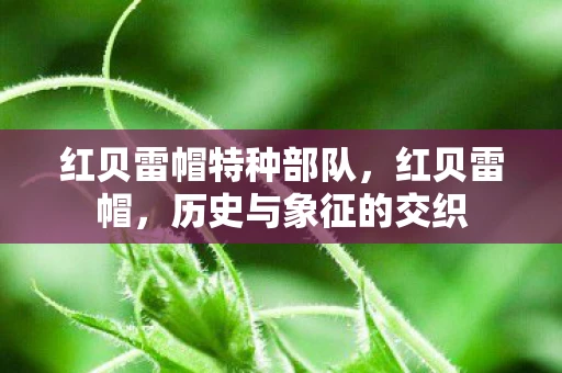 红贝雷帽特种部队，红贝雷帽，历史与象征的交织