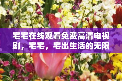 宅宅在线观看免费高清电视剧，宅宅，宅出生活的无限可能