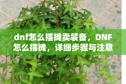 dnf怎么摆摊卖装备，DNF怎么摆摊，详细步骤与注意事项