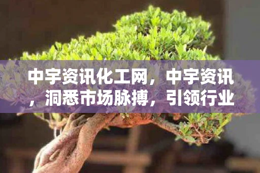 中宇资讯化工网，中宇资讯，洞悉市场脉搏，引领行业趋势