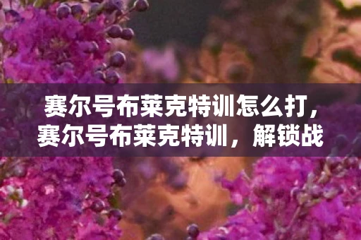 赛尔号布莱克特训怎么打，赛尔号布莱克特训，解锁战斗新境界