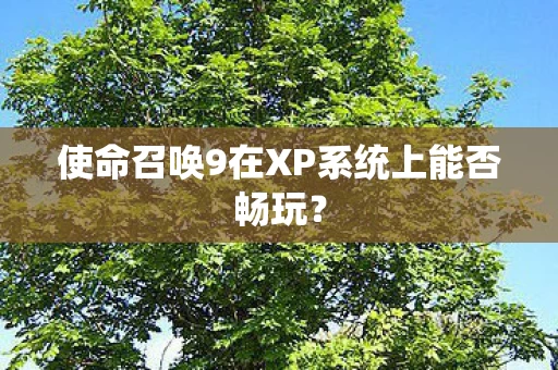 使命召唤9在XP系统上能否畅玩图片