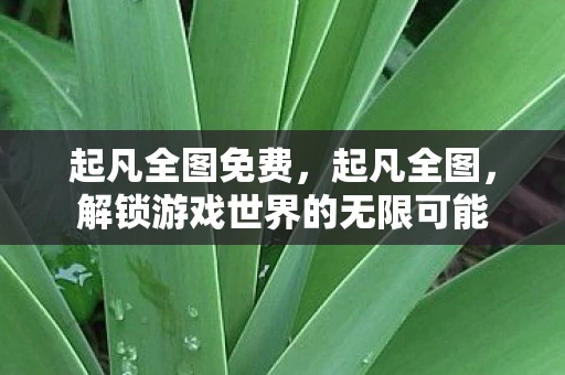起凡全图免费，起凡全图，解锁游戏世界的无限可能