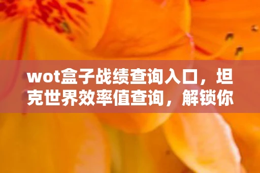 wot盒子战绩查询入口，坦克世界效率值查询，解锁你的战斗潜能