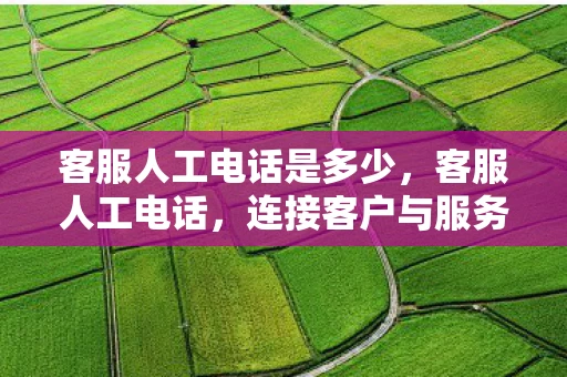 客服人工电话是多少，客服人工电话，连接客户与服务的桥梁