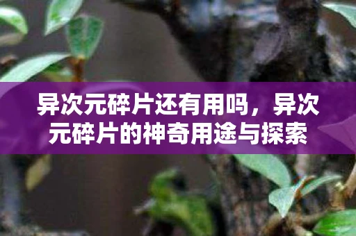 异次元碎片还有用吗，异次元碎片的神奇用途与探索