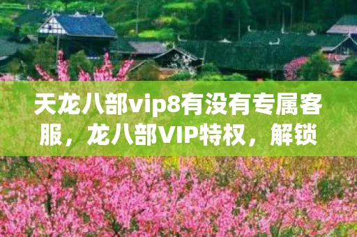 天龙八部vip8有没有专属客服，龙八部VIP特权，解锁你的游戏新境界