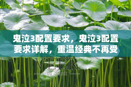 鬼泣3配置要求，鬼泣3配置要求详解，重温经典不再受硬件限制