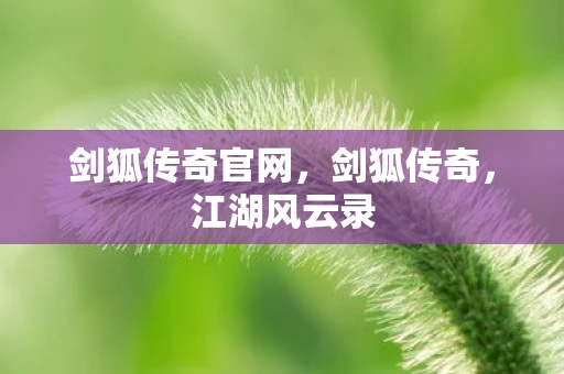 剑狐传奇官网，剑狐传奇，江湖风云录