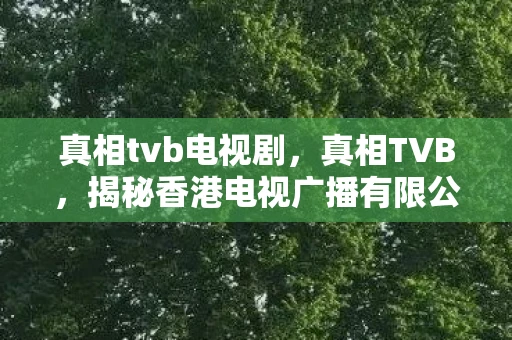 真相tvb电视剧，真相TVB，揭秘香港电视广播有限公司的辉煌与变迁