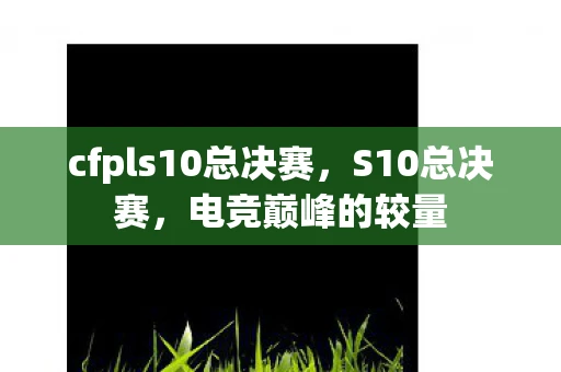 cfpls10总决赛，S10总决赛，电竞巅峰的较量