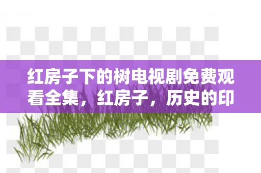 红房子下的树电视剧免费观看全集，红房子，历史的印记与文化的传承