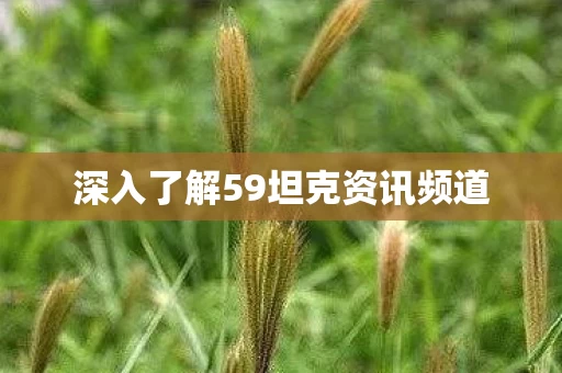 深入了解59坦克资讯频道图片