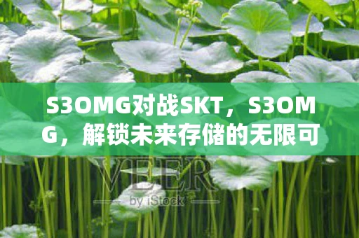 S3OMG对战SKT，S3OMG，解锁未来存储的无限可能