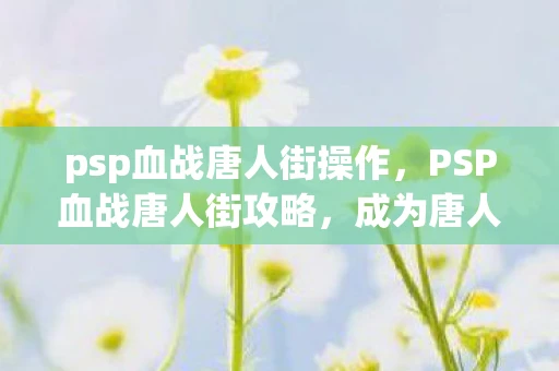 psp血战唐人街操作，PSP血战唐人街攻略，成为唐人街霸主