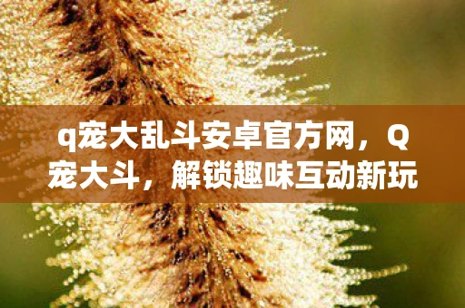 q宠大乱斗安卓官方网，Q宠大斗，解锁趣味互动新玩法