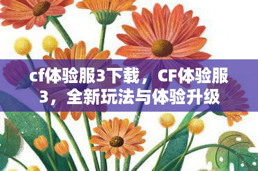 cf体验服3下载，CF体验服3，全新玩法与体验升级