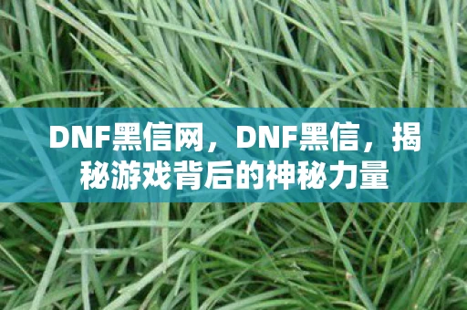 DNF黑信网，DNF黑信，揭秘游戏背后的神秘力量