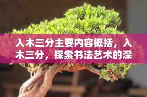 入木三分主要内容概括，入木三分，探索书法艺术的深度与魅力