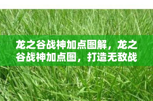 龙之谷战神加点图解，龙之谷战神加点图，打造无敌战神的秘密